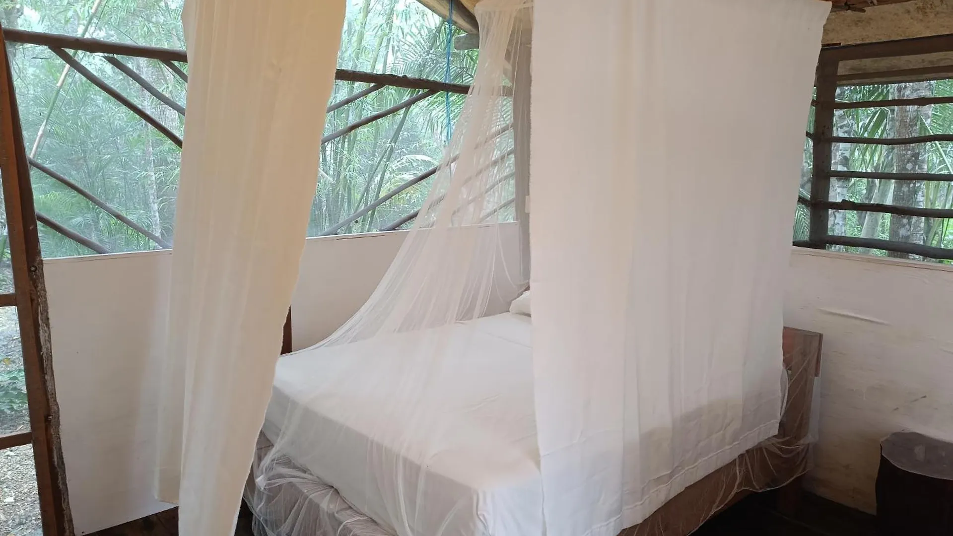 Kamp alanı Cabana Zapote En Rancho Los Jaguares Jungle Retreat Tulum Meksika