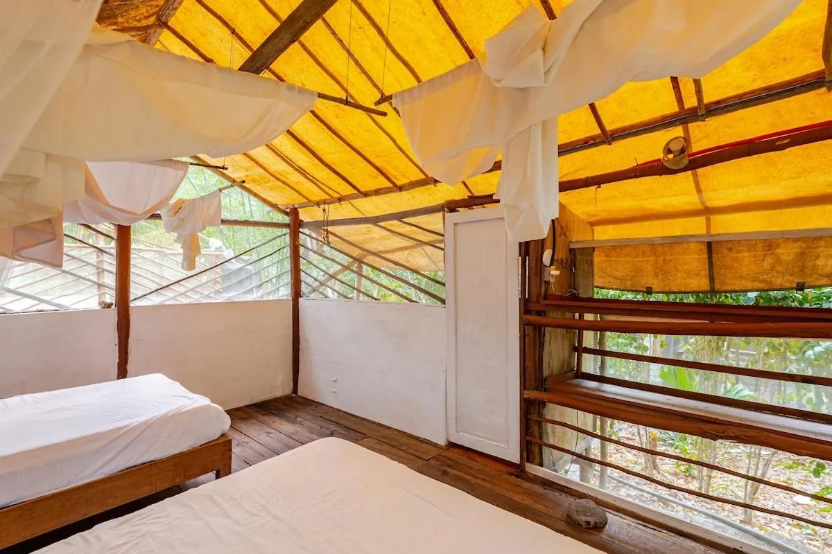 Cabana Zapote En Rancho Los Jaguares Jungle Retreat Tulum Meksika
