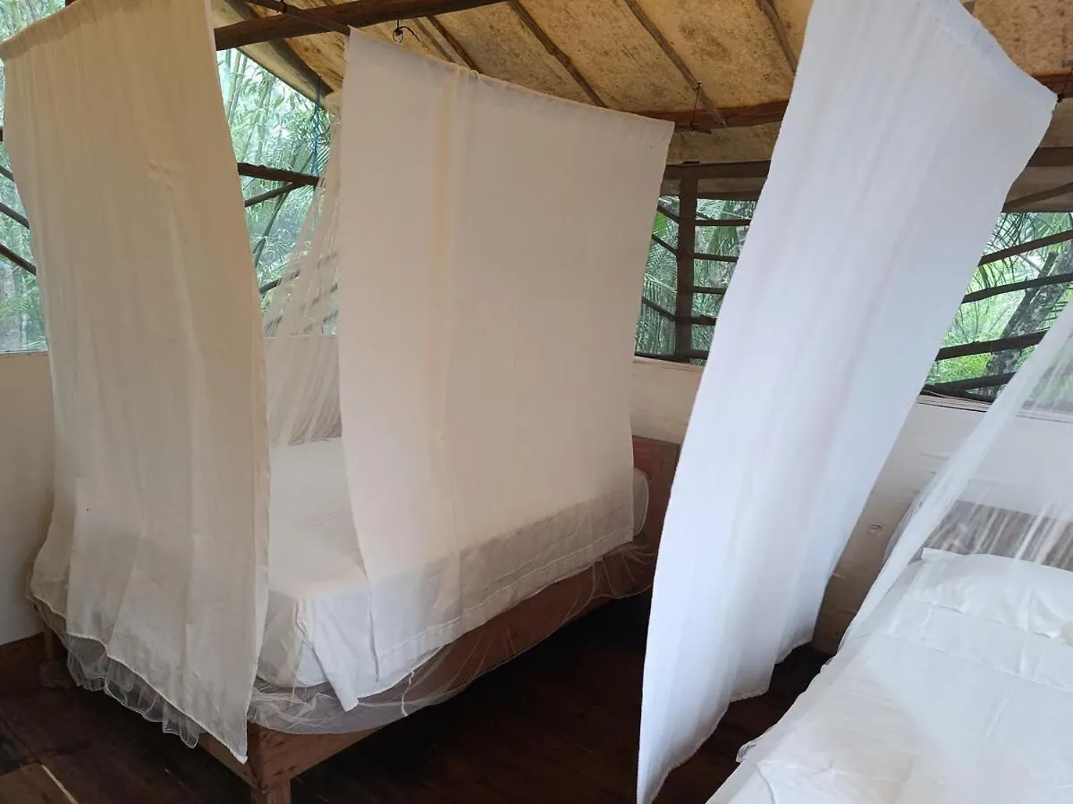 Kamp alanı Cabana Zapote En Rancho Los Jaguares Jungle Retreat Tulum