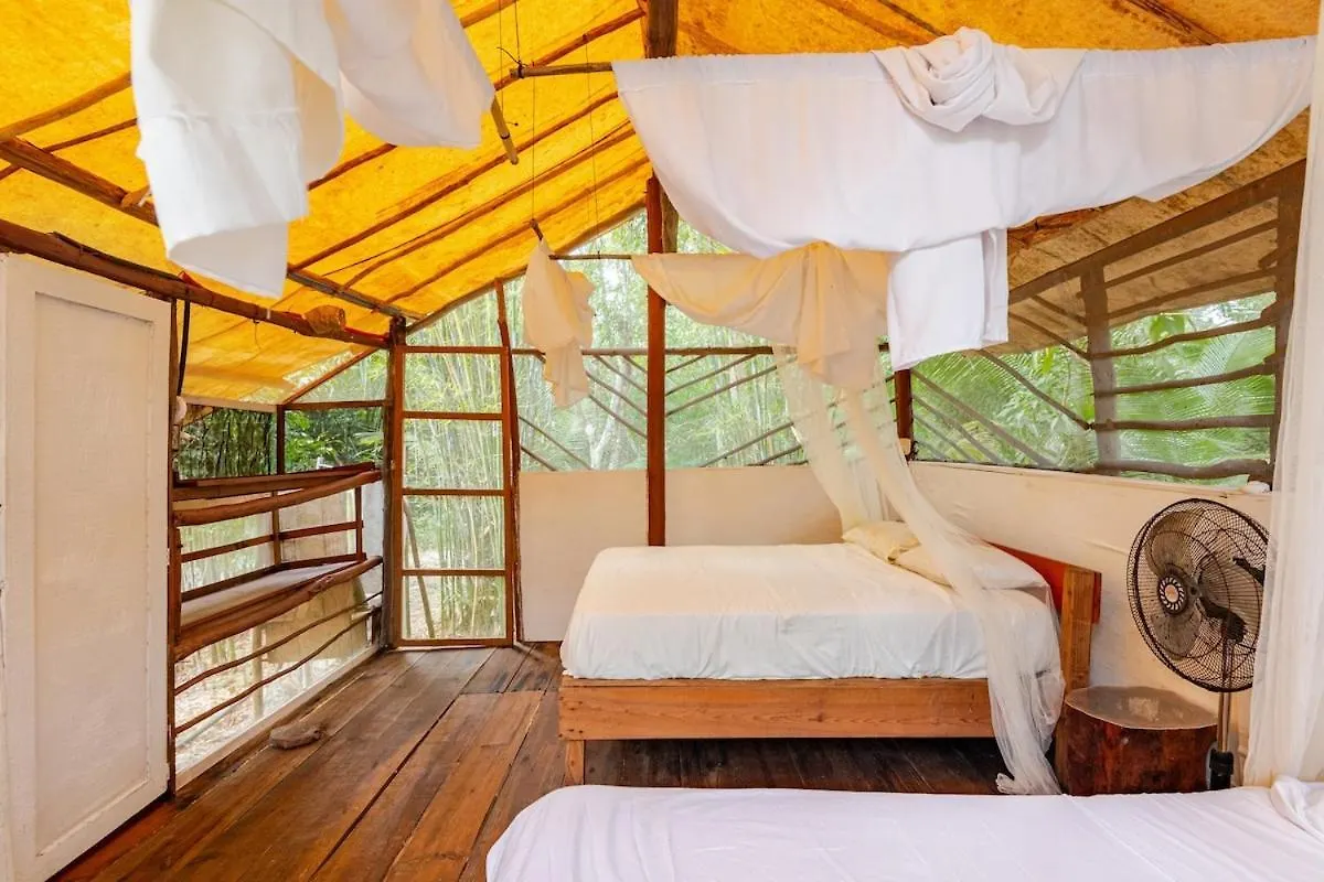 Kamp alanı Cabana Zapote En Rancho Los Jaguares Jungle Retreat Tulum