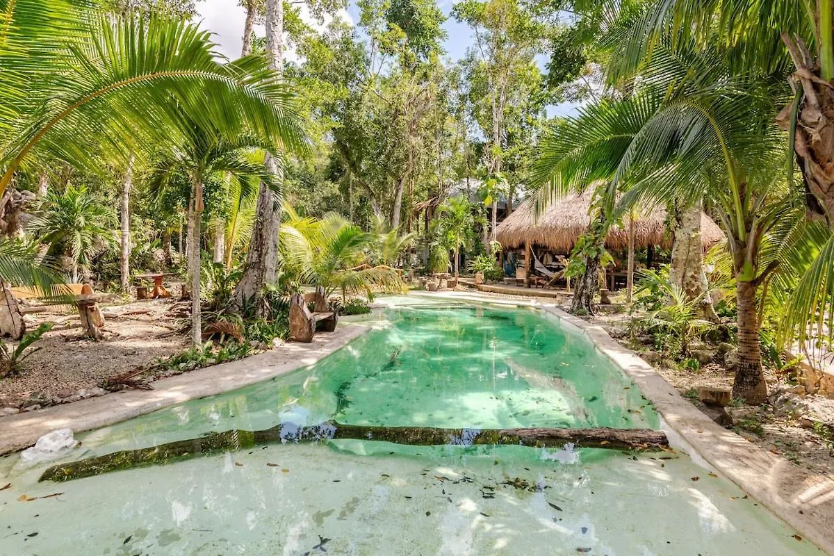 Kamp alanı Cabana Zapote En Rancho Los Jaguares Jungle Retreat Tulum Meksika