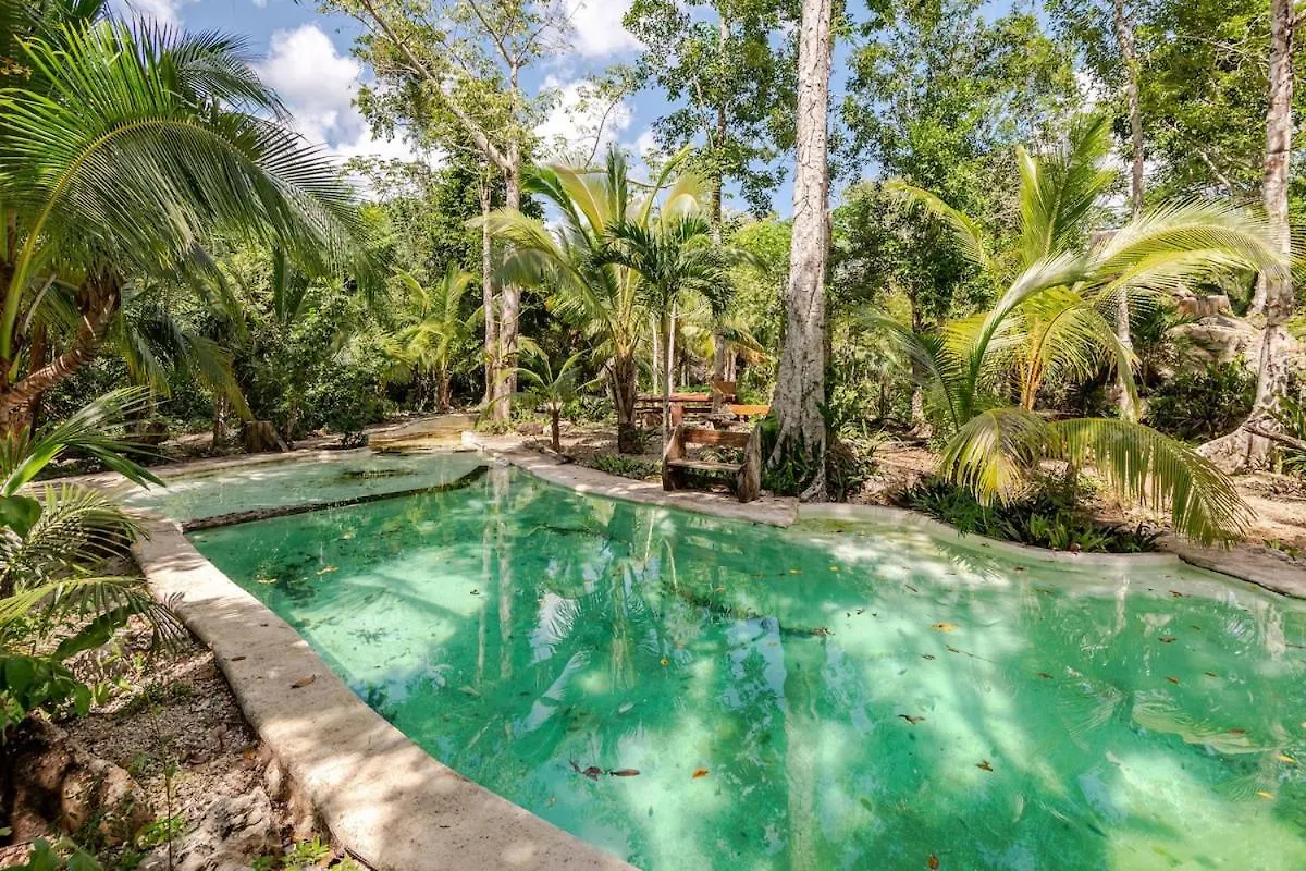 Cabana Zapote En Rancho Los Jaguares Jungle Retreat Tulum Kamp alanı