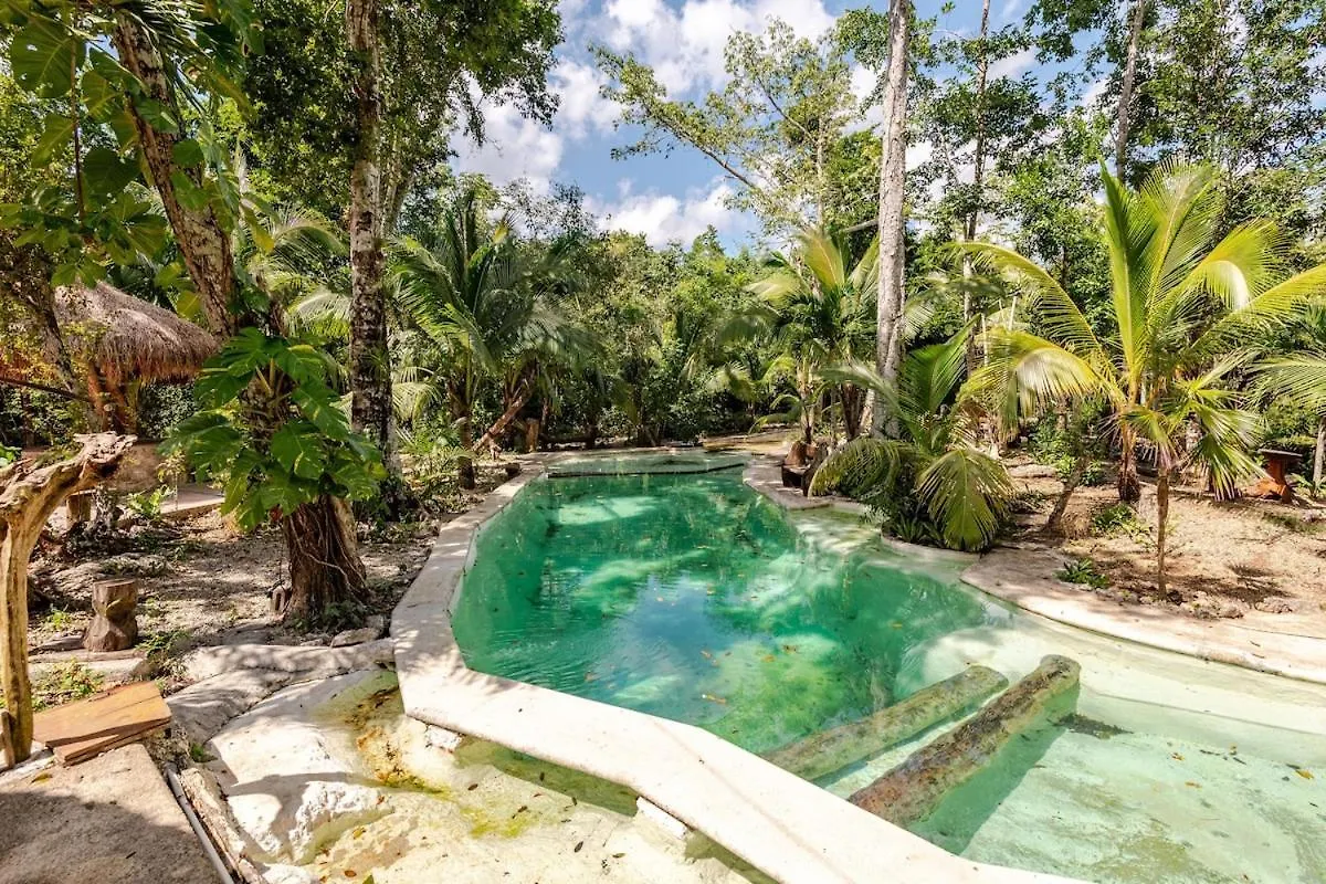 Kamp alanı Cabana Zapote En Rancho Los Jaguares Jungle Retreat Tulum